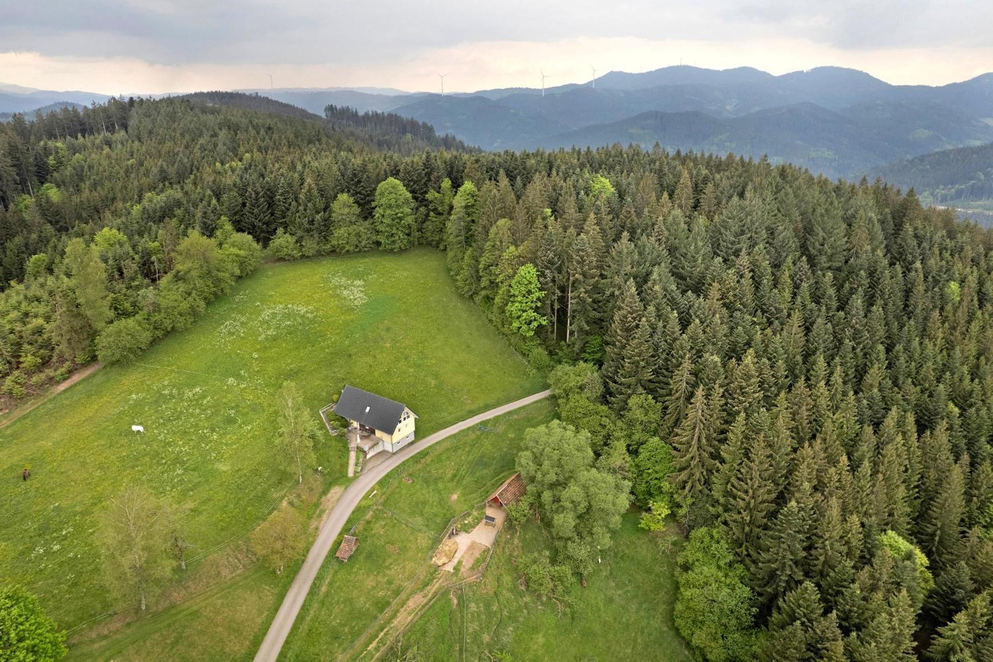 Landeckhof Oberwolfach Exterior foto
